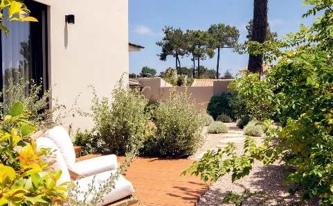 Janvier Plants & Design : L’art du jardin vivant à Lisbonne