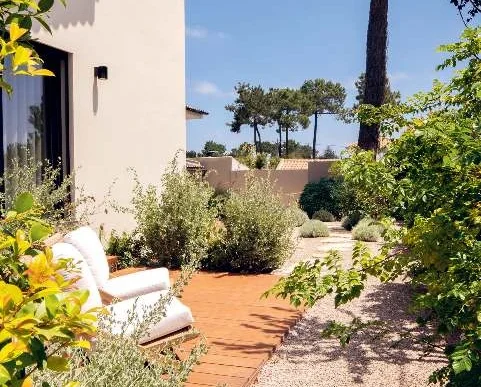 Janvier Plants & Design : L’art du jardin vivant à Lisbonne