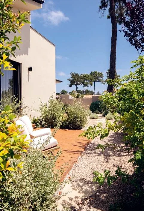 Janvier Plants & Design : L’art du jardin vivant à Lisbonne