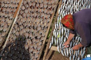 Nazaré incontournable