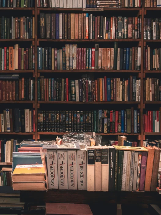 Mots français portugais