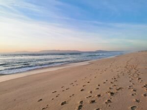 Immanquables de Comporta