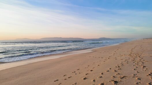 Immanquables de Comporta