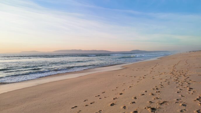Immanquables de Comporta