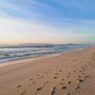 Immanquables de Comporta