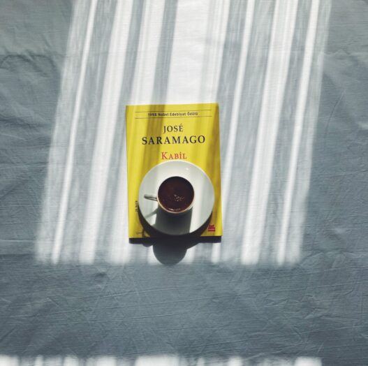 José Saramago écrivain
